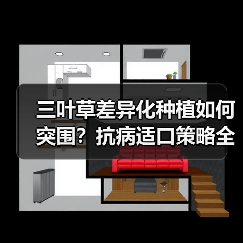 三叶草差异化种植如何突围?抗病适口策略全解析(图4) 三叶草差异化种植如何突围?抗病适口策略全解析(图4)