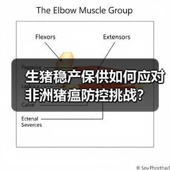 生猪稳产保供如何应对非洲猪瘟防控挑战?(图1) 生猪稳产保供如何应对非洲猪瘟防控挑战?(图1)