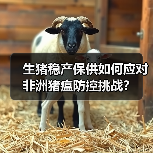生猪稳产保供如何应对非洲猪瘟防控挑战?(图2) 生猪稳产保供如何应对非洲猪瘟防控挑战?(图2)