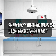 生猪稳产保供如何应对非洲猪瘟防控挑战?(图4) 生猪稳产保供如何应对非洲猪瘟防控挑战?(图4)