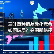 三叶草种植差异化竞争如何破局?突围新路径揭秘(图3) 三叶草种植差异化竞争如何破局?突围新路径揭秘(图3)