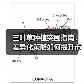 三叶草种植突围指南:差异化策略如何提升市场竞争力(图4) 三叶草种植突围指南:差异化策略如何提升市场竞争力(图4)