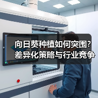 向日葵种植如何突围?差异化策略与行业竞争全解析(图1) 向日葵种植如何突围?差异化策略与行业竞争全解析(图1)