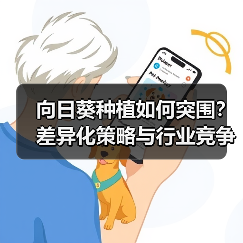 向日葵种植如何突围?差异化策略与行业竞争全解析(图3) 向日葵种植如何突围?差异化策略与行业竞争全解析(图3)
