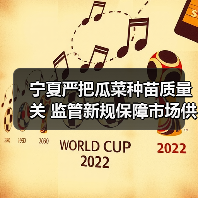 宁夏严把瓜菜种苗质量关 监管新规保障市场供应（图4）