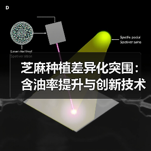 芝麻种植差异化突围:含油率提升与创新技术实战路径(图2) 芝麻种植差异化突围:含油率提升与创新技术实战路径(图2)