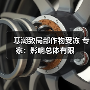 寒潮致局部作物受冻 专家:影响总体有限(图2) 寒潮致局部作物受冻 专家:影响总体有限(图2)