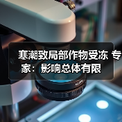 寒潮致局部作物受冻 专家:影响总体有限(图1) 寒潮致局部作物受冻 专家:影响总体有限(图1)