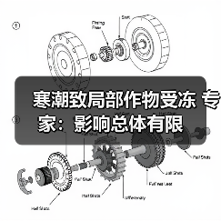 寒潮致局部作物受冻 专家:影响总体有限(图3) 寒潮致局部作物受冻 专家:影响总体有限(图3)
