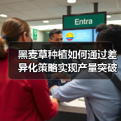 黑麦草种植如何通过差异化策略实现产量突破(图3) 黑麦草种植如何通过差异化策略实现产量突破(图3)