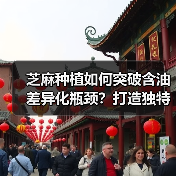 芝麻种植如何突破含油差异化瓶颈?打造独特市场竞争力(图4) 芝麻种植如何突破含油差异化瓶颈?打造独特市场竞争力(图4)