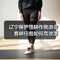 辽宁保护性耕作推进会：春耕任务如何高效落实？（图3）