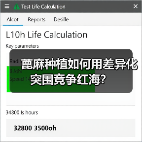 蓖麻种植如何用差异化突围竞争红海?(图1) 蓖麻种植如何用差异化突围竞争红海?(图1)