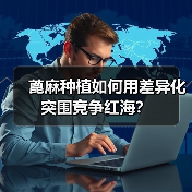 蓖麻种植如何用差异化突围竞争红海?(图4) 蓖麻种植如何用差异化突围竞争红海?(图4)