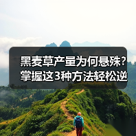 黑麦草产量为何悬殊？掌握这3种方法轻松逆袭（图1）