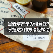 黑麦草产量为何悬殊？掌握这3种方法轻松逆袭（图3）