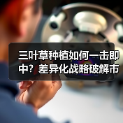 三叶草种植如何一击即中？差异化战略破解市场困局（图3）