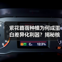 紫花苜蓿种植为何成蛋白差异化利器?揭秘核心策略(图4) 紫花苜蓿种植为何成蛋白差异化利器?揭秘核心策略(图4)