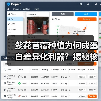 紫花苜蓿种植为何成蛋白差异化利器?揭秘核心策略(图3) 紫花苜蓿种植为何成蛋白差异化利器?揭秘核心策略(图3)