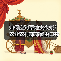 如何应对草地贪夜蛾?农业农村部部署虫口夺粮防灾保丰收(图3) 如何应对草地贪夜蛾?农业农村部部署虫口夺粮防灾保丰收(图3)