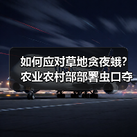 如何应对草地贪夜蛾?农业农村部部署虫口夺粮防灾保丰收(图4) 如何应对草地贪夜蛾?农业农村部部署虫口夺粮防灾保丰收(图4)
