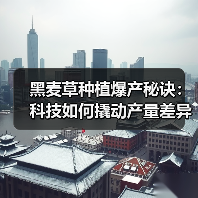 黑麦草种植爆产秘诀:科技如何撬动产量差异化?(图2) 黑麦草种植爆产秘诀:科技如何撬动产量差异化?(图2)