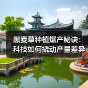 黑麦草种植爆产秘诀:科技如何撬动产量差异化?(图4) 黑麦草种植爆产秘诀:科技如何撬动产量差异化?(图4)