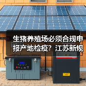 生猪养殖场必须合规申报产地检疫?江苏新规全解析(图3) 生猪养殖场必须合规申报产地检疫?江苏新规全解析(图3)