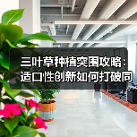 三叶草种植突围攻略:适口性创新如何打破同质化?(图1) 三叶草种植突围攻略:适口性创新如何打破同质化?(图1)