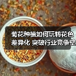 菊花种植如何玩转花色差异化 突破行业竞争壁垒?(图1) 菊花种植如何玩转花色差异化 突破行业竞争壁垒?(图1)