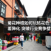 菊花种植如何玩转花色差异化 突破行业竞争壁垒?(图3) 菊花种植如何玩转花色差异化 突破行业竞争壁垒?(图3)