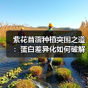 紫花苜蓿种植突围之道:蛋白差异化如何破解行业竞争?(图1) 紫花苜蓿种植突围之道:蛋白差异化如何破解行业竞争?(图1)