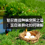 紫花苜蓿种植突围之道:蛋白差异化如何破解行业竞争?(图4) 紫花苜蓿种植突围之道:蛋白差异化如何破解行业竞争?(图4)