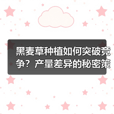 黑麦草种植如何突破竞争?产量差异的秘密策略(图2) 黑麦草种植如何突破竞争?产量差异的秘密策略(图2)