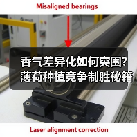 香气差异化如何突围?薄荷种植竞争制胜秘籍(图3) 香气差异化如何突围?薄荷种植竞争制胜秘籍(图3)