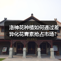 洛神花种植如何通过差异化花青素抢占市场？（图1）