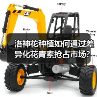 洛神花种植如何通过差异化花青素抢占市场？（图3）
