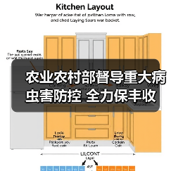 农业农村部督导重大病虫害防控 全力保丰收（图4）