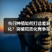 当归种植如何打造差异化？突破同质化竞争策略（图2）