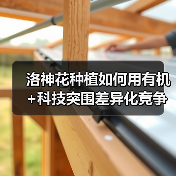 洛神花种植如何用有机+科技突围差异化竞争？（图4）