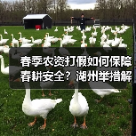 春季农资打假如何保障春耕安全？湖州举措解析（图1）
