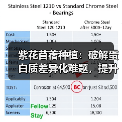 紫花苜蓿种植：破解蛋白质差异化难题，提升12%的关键技巧（图1）