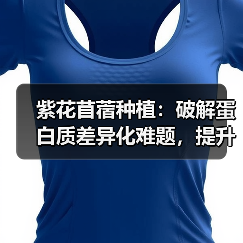 紫花苜蓿种植：破解蛋白质差异化难题，提升12%的关键技巧（图4）
