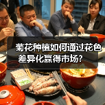 菊花种植如何通过花色差异化赢得市场？（图1）