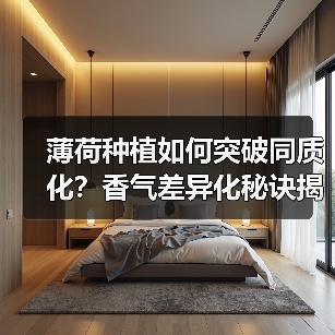 薄荷种植如何突破同质化？香气差异化秘诀揭秘（图2）