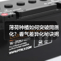 薄荷种植如何突破同质化？香气差异化秘诀揭秘（图3）