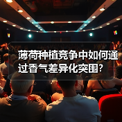 薄荷种植竞争中如何通过香气差异化突围？（图2）