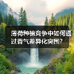 薄荷种植竞争中如何通过香气差异化突围？（图4）