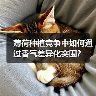 薄荷种植竞争中如何通过香气差异化突围？（图3）