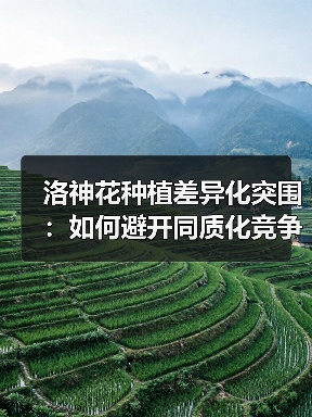 洛神花种植差异化突围：如何避开同质化竞争？（图1）
